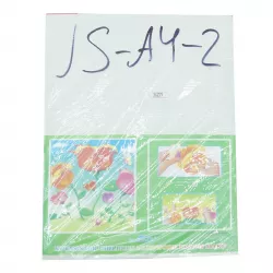 Kağız A4 karton zərli 10 ədədli JS-A4-2