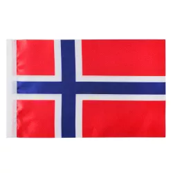 Bayraq (15*22) Norveç 2-tərəfli