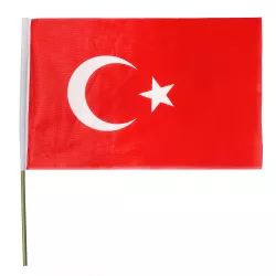 Bayraq (50*75) Türkiyə (ipək)