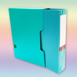 Qovluq fayllı əla 100 ədədli 5007