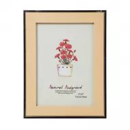 Çərçivə 1224 (13*18)