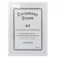 Çərçivə 8022 (A3)