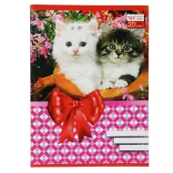 Dəftər A5 20 vərəq dama