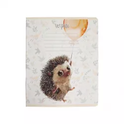 Dəftər B5 12 v Ana dili Rəngli (019845)