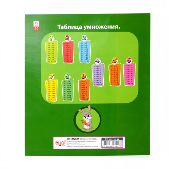 Dəftər 12 vərəq rəngli dama 65 qr premium (korlar üçün)
