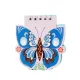 Bloknot spirallı X-239