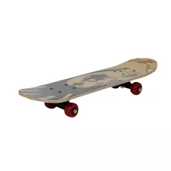 Skateboard 3110T kiçik