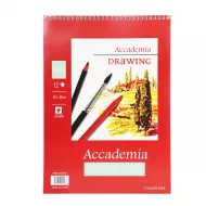 Rəsm albomu B4-12-180G spirallı (3887)