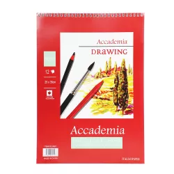 Rəsm albomu B4-12-180G spirallı (3887)