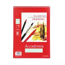 Rəsm albomu A4-12-180G spirallı (3886)