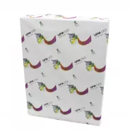 Kağız 100 qr A3 500 ədəd