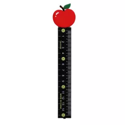 Xətkeş TW-8148 15sm