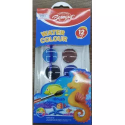 Boya BLK19-9012 12 rəng