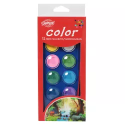 Boya sulu 1228(1227) 12 rəng