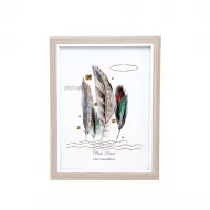 Çərçivə LMP-52-15*20