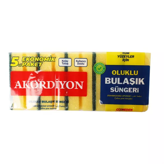 Süngər Akordiyon 5-li