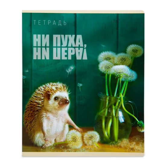 Dəftər B5 48 v dama (026740)
