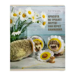 Dəftər B5 48 v dama (026740)