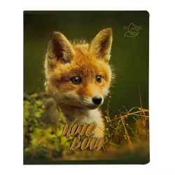 Dəftər B5 48 v dama (028061)