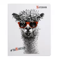 Dəftər B5 48 v dama (027941)