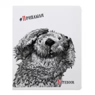 Dəftər B5 48 v dama (027941)