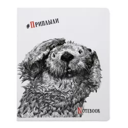 Dəftər B5 48 v dama (027941)