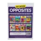 K.My Book Opposites