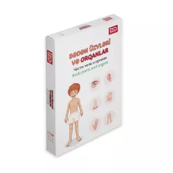 K.Öyrədici kartlar (Bədən üzvləri, geyim)