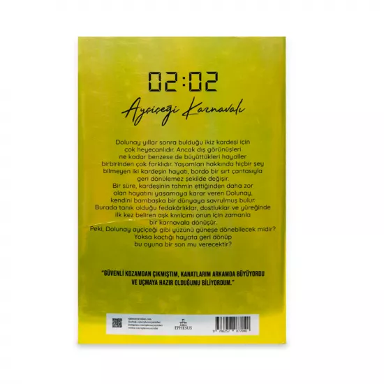 K.02:02 Ayçiçeği karnavalı (N.G.Kabal)