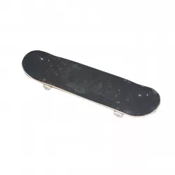 Skateboard FR 3108-2