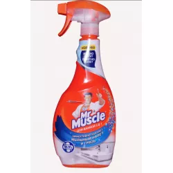 Mr.Mus ekspert dla ustranitel naleta.500ml