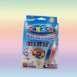 Flomaster 42265 12+12 rəng