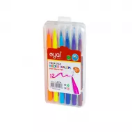 Flomaster i-4775 12 rəng fırçalı