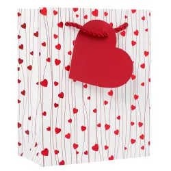 Hədiyyə paketi ipli EST-3152XS (rəngbərəng)