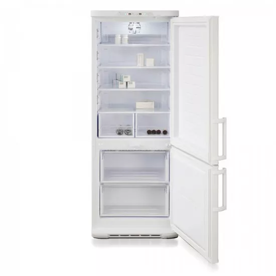 Biryusa 315K-GB Laborator Dondurucu Kamerası