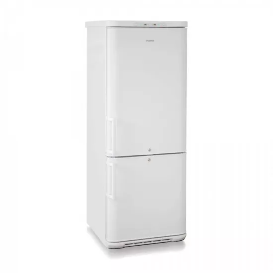 Biryusa 315K-GB Laborator Dondurucu Kamerası
