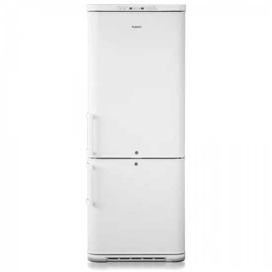 Biryusa 315K-GB Laborator Dondurucu Kamerası
