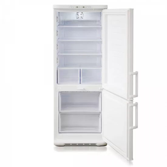 Biryusa 315K-GB Laborator Dondurucu Kamerası