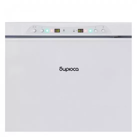 Biryusa 315K-GB Laborator Dondurucu Kamerası