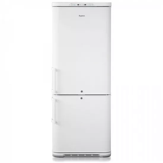 Biryusa 315K-GB Laborator Dondurucu Kamerası