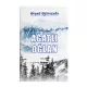 Ağatlı Oğlan (Ə.Əzimzadə)