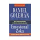 K.Emosional Zəka (Daniel Goleman)