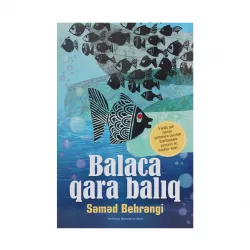 K.Balaca qara balıq (Səməd Behrəngi)