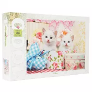 Mozaika Puzzle 79100 1000ədədli Kotyata