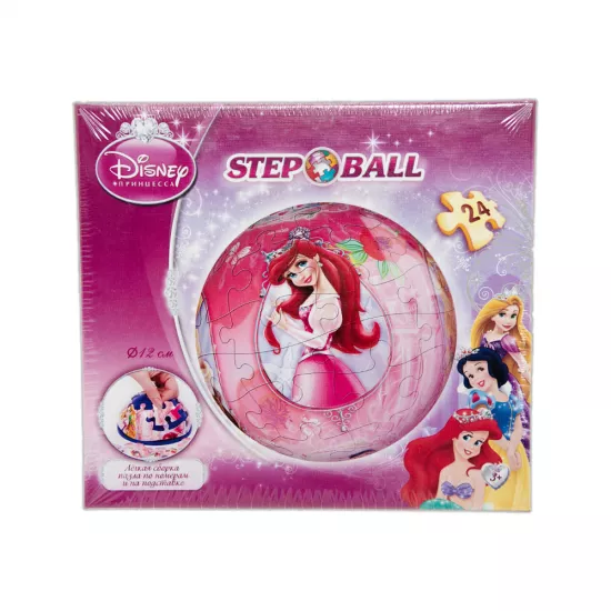 Puzzle 98102 24ədədli Prinçessı