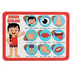 Taxta pazıl bədən üzvləri (17*23)