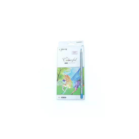 Karandaş rəngli YL830051 12-li