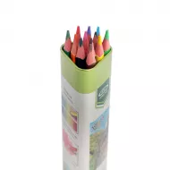 Karandaş rəngli 1201AA 12-li dəmir qabda