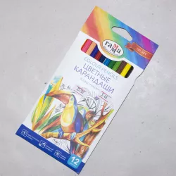 Karandaş rəngli 050918_02 12 rəng klassiçeskaya