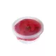 Plastilin XP-24-15 24 rəng